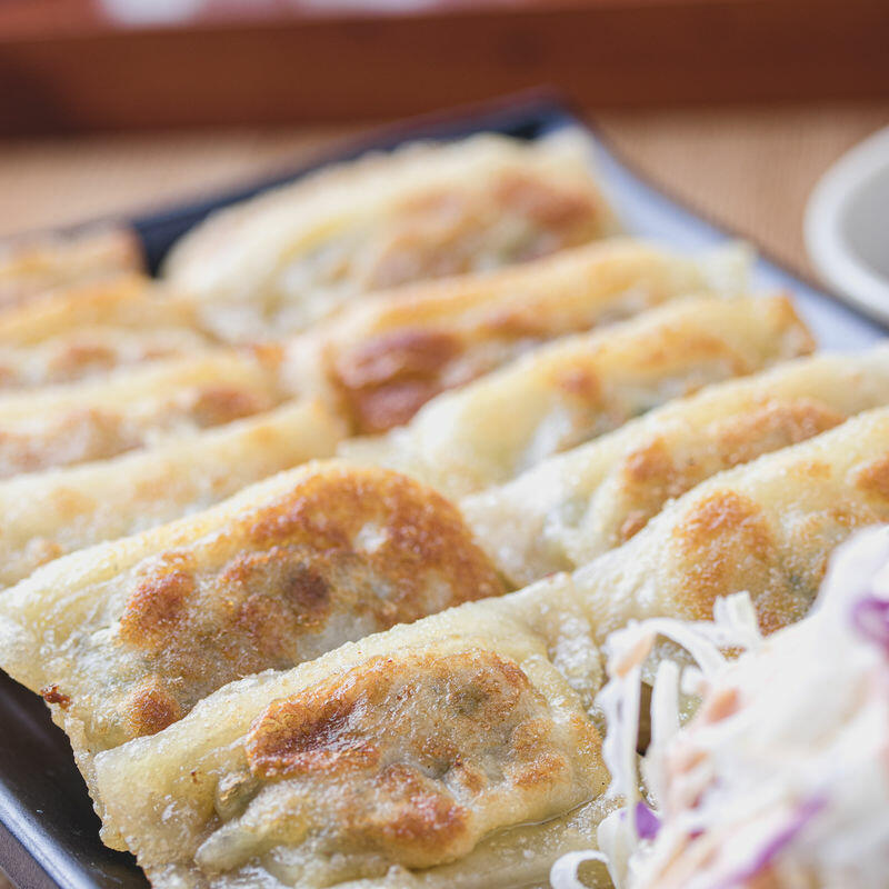 Pan Fried Dumplings
